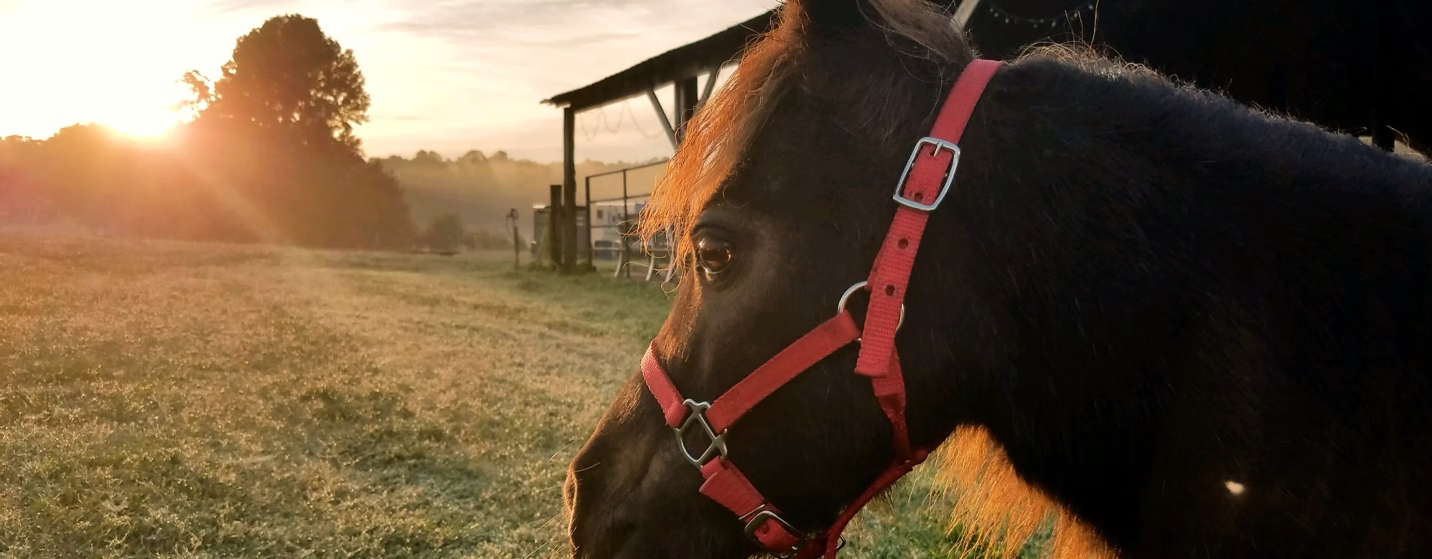 A Different View Equine Center