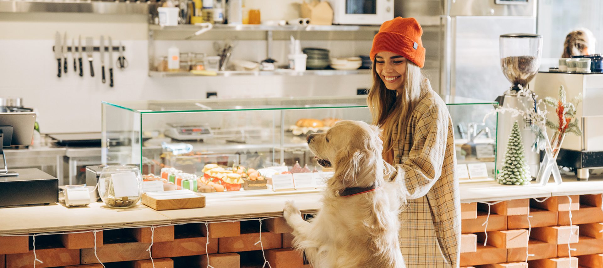 Smoky Mountain Dog Bar