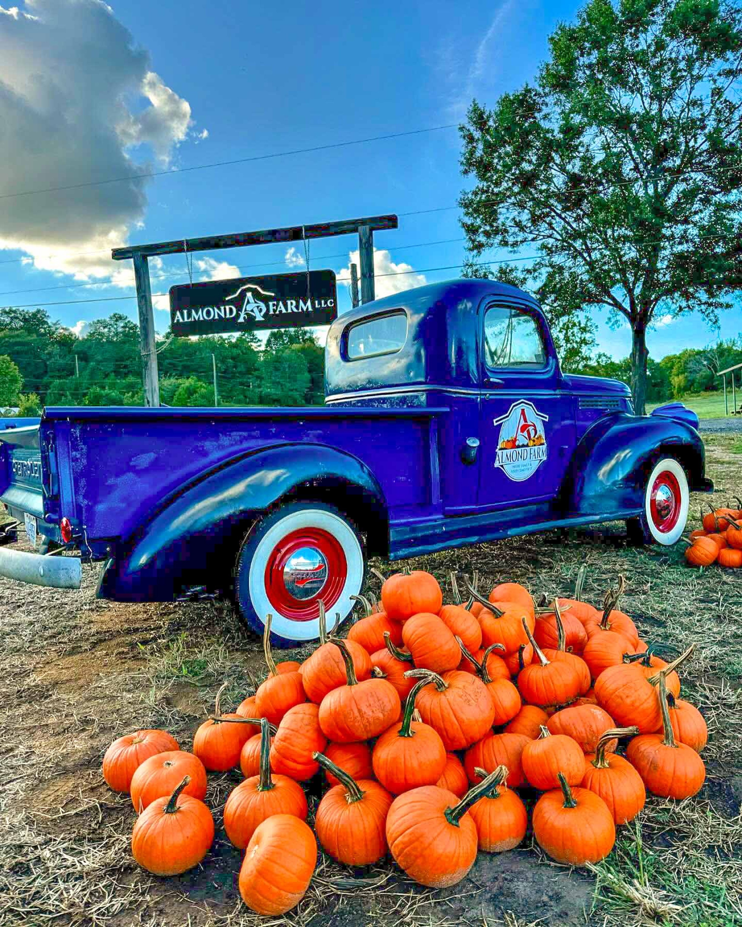 Almond Farm, LLC