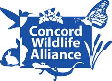 Concord Wildlife Alliance