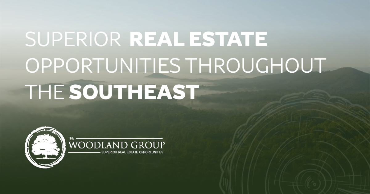 The Woodland Group, LLC logo