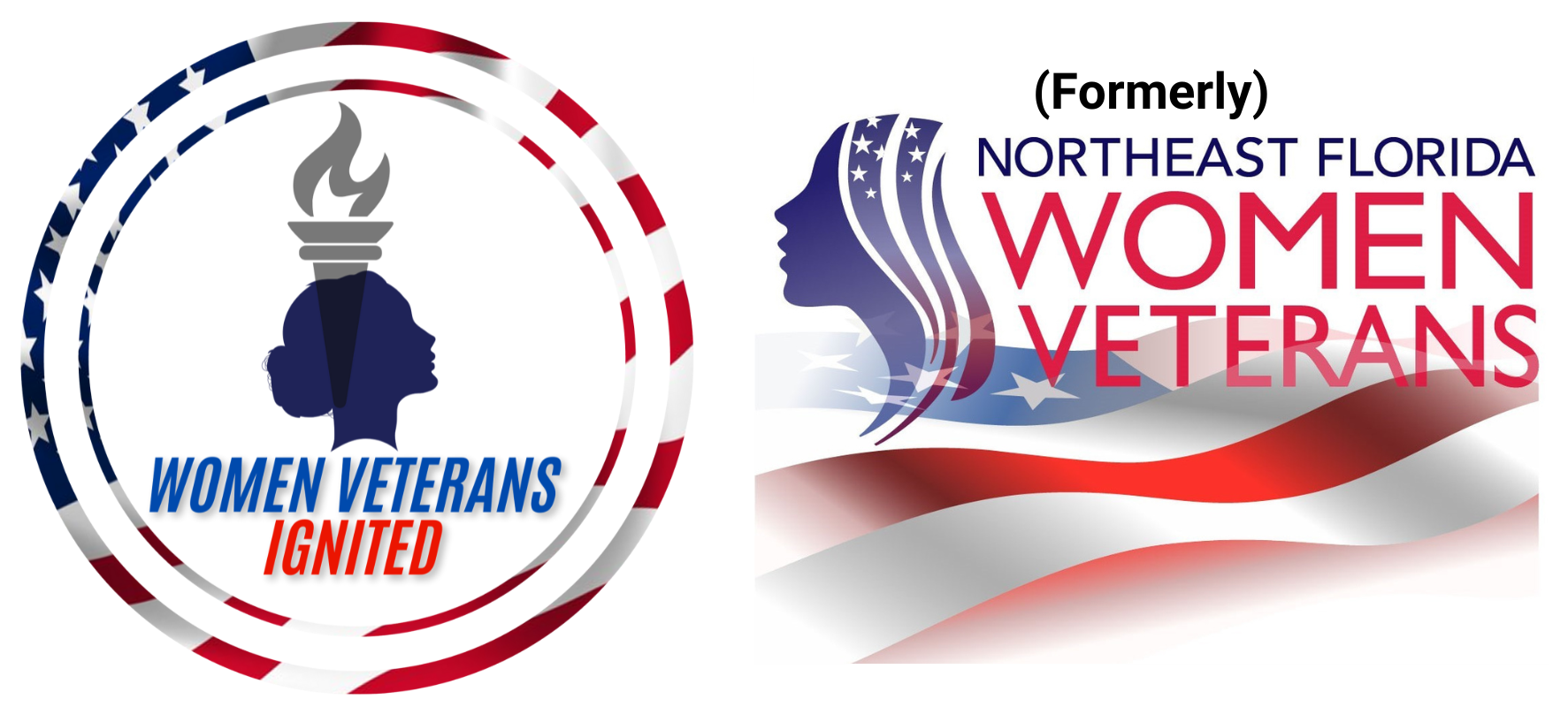 Women Veterans Ignited, INC. logo